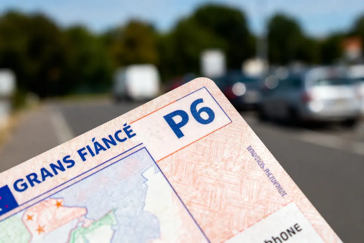Permis de conduire français avec la mention "P6" en gros plan, arrière-plan flou de route.